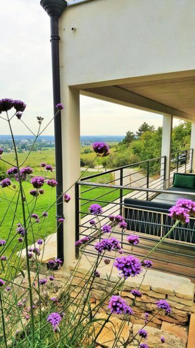La Maison De L'Ecu : Charme Et Vue Incroyable Beaune  Exterior photo