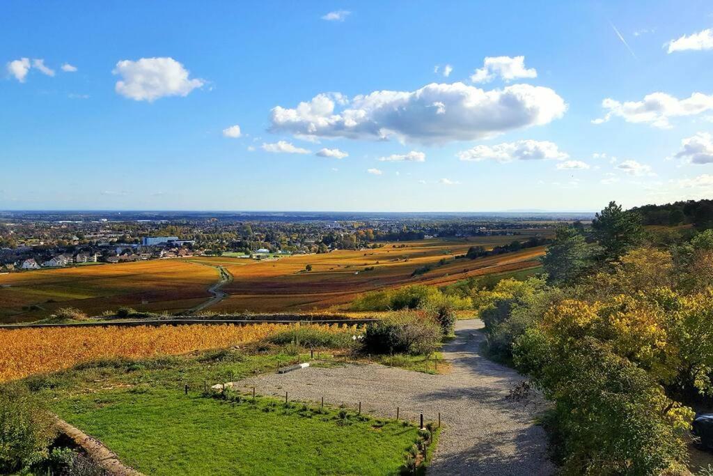 La Maison De L'Ecu : Charme Et Vue Incroyable Beaune  Exterior photo